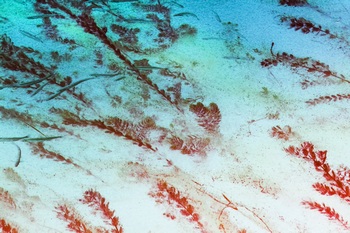 N 044C